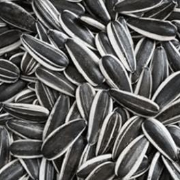 Original Sunflower Seeds
