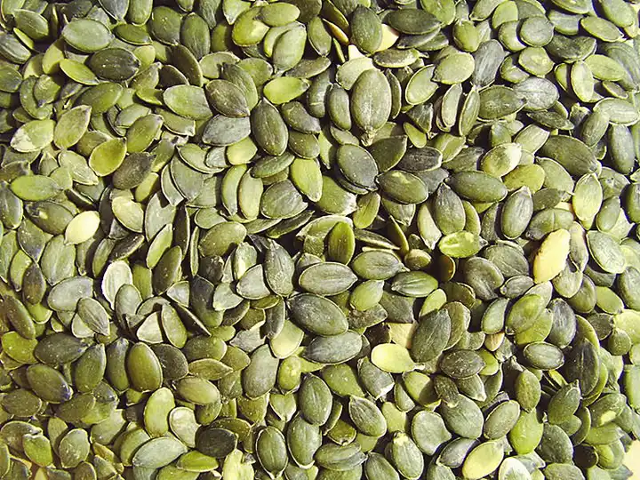 Fresh Snow White Pumpkin Seeds High Quality Snacks Dried Food Shine Skin Pumpkin Seeds