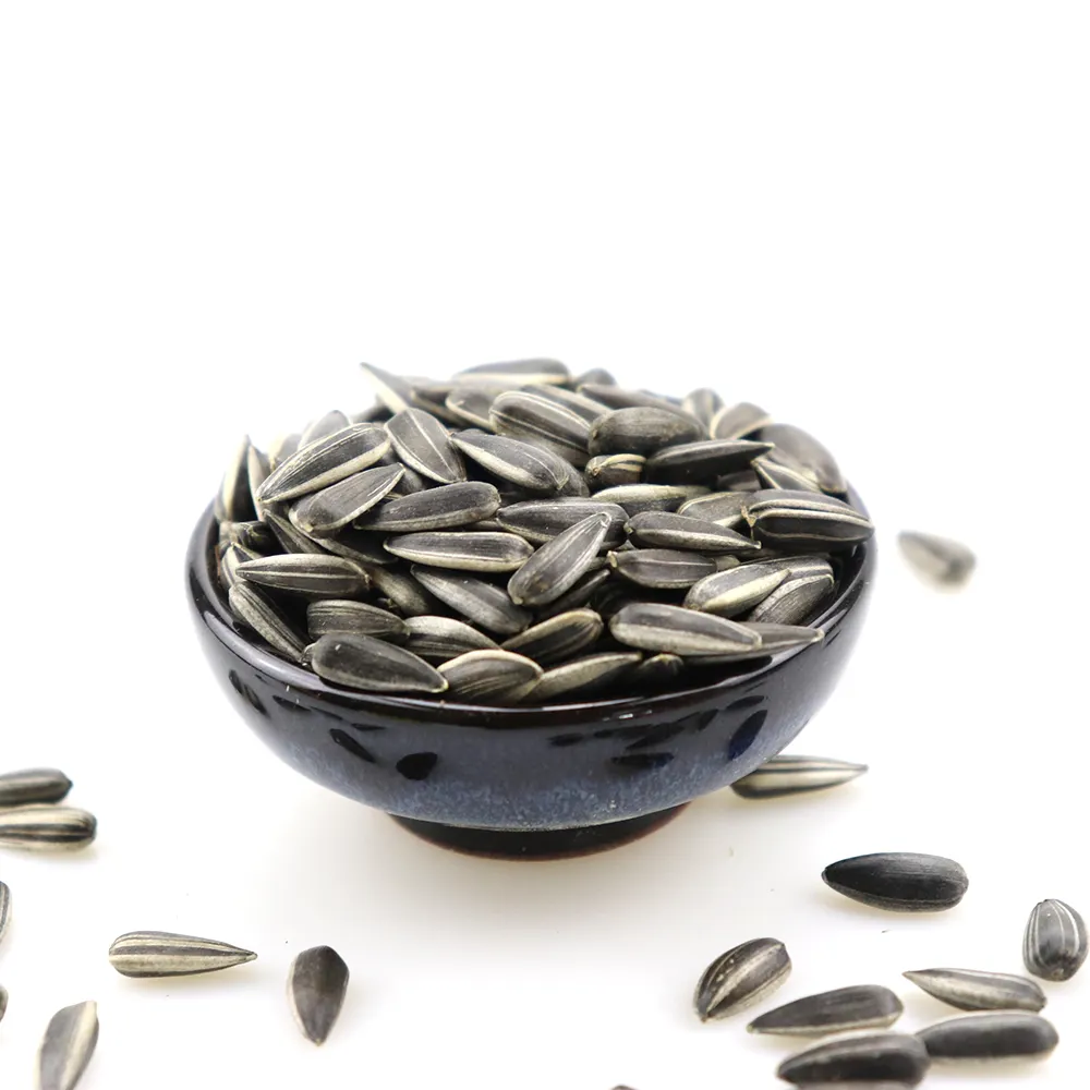 Sunflower Seeds From Inner Mongolia Factory direct High quality T5 sunflower seeds to eat