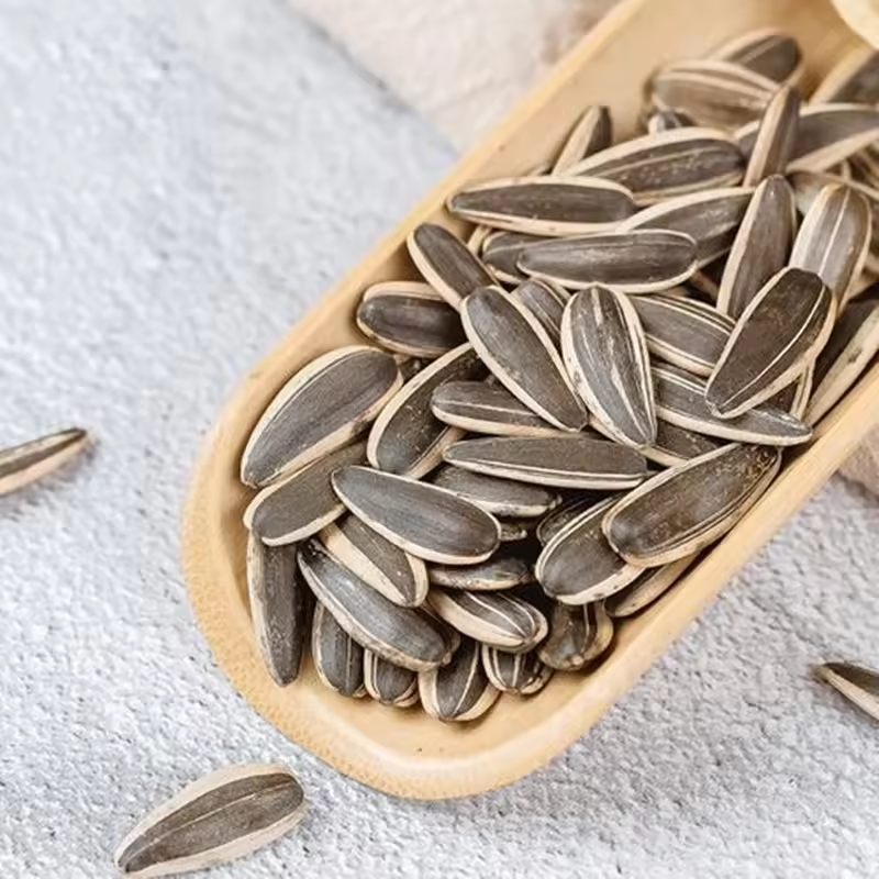 Supply Various Flavor Sunflower Kernels Nuts Big Size Sunflower Seed Snack and Sunflower Seeds Pp Woven Bags Kernal Raw 20/25kgs