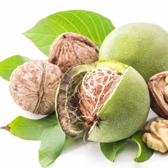 Walnut Kernel For Snacks Food Wholesale XinJiang walnut Factory Supply Chinese Walnut