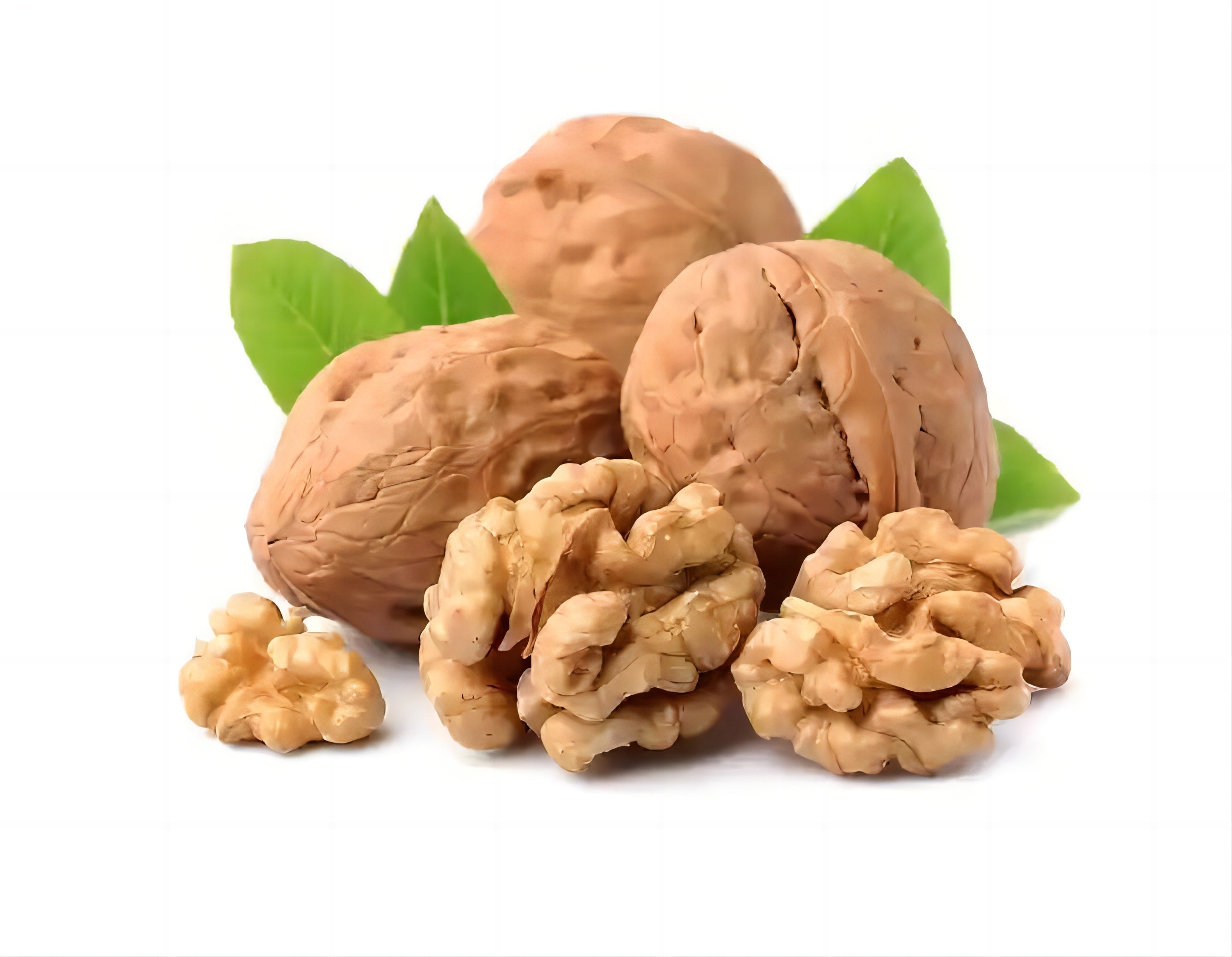 Bulk Paper Shell Walnut Kernels In Shell Natural Color XinFu Kernel Xi