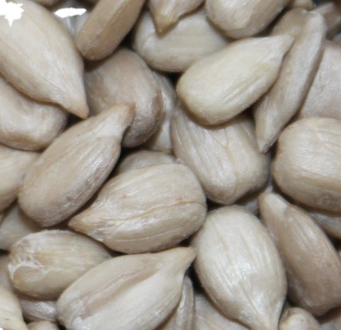 sunflower seeds kernal 363 361