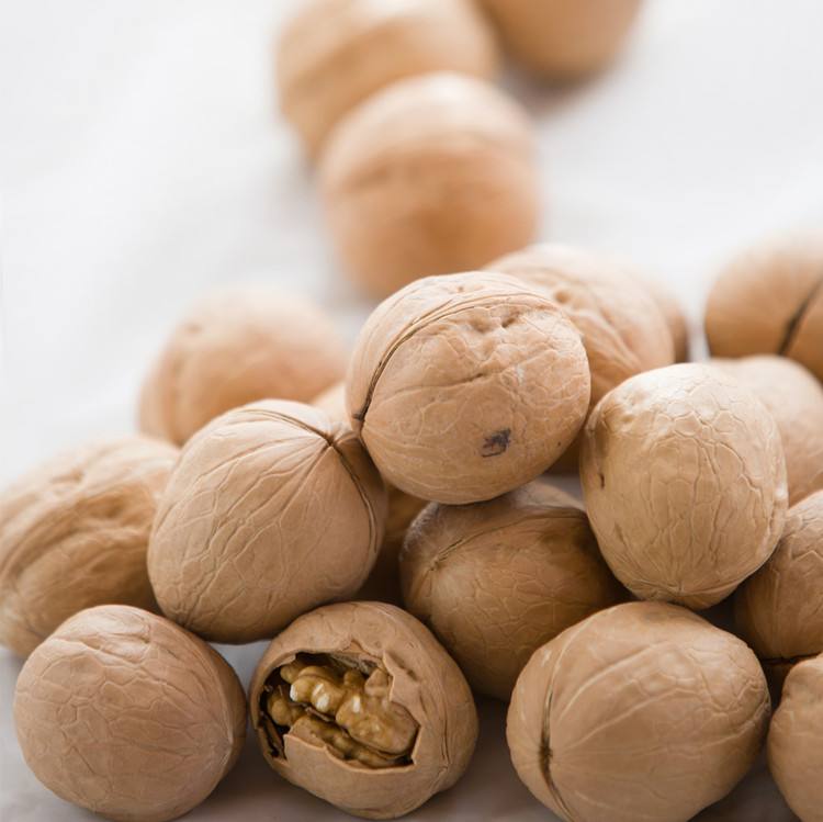 Current New Crop" In shell Hartley choice Nut, Number one quality - Packed in a 5 lbs