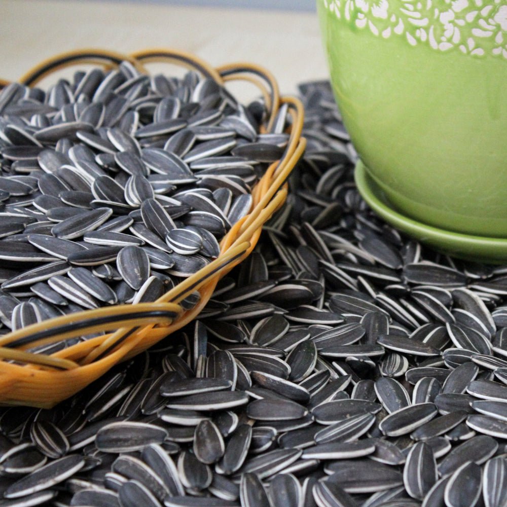 Best price 363/361/601 ect. type natural color sunflower seeds hot sale from China - Lnnuts